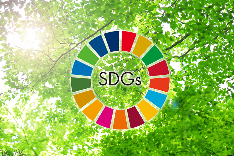 SDGsで重要とされている「廃棄物処理」（の問題）について解説
